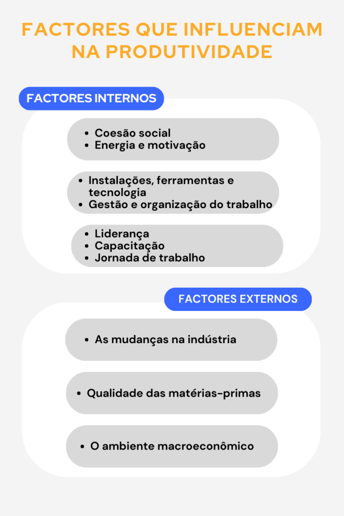 Veja uma infografia que resume os fatores que influenciam a produtividade